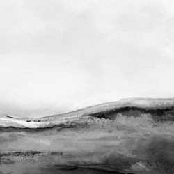 Paysage Mono n° 2