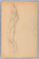 Dessin, étude anatomique d