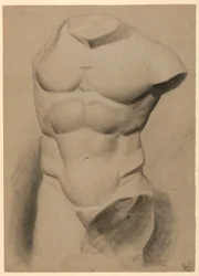 Dessin, torse masculin d