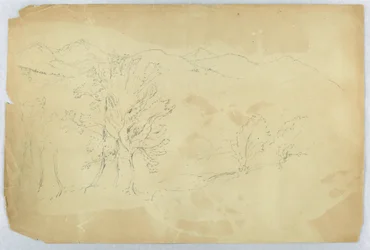 Paysage de montagne