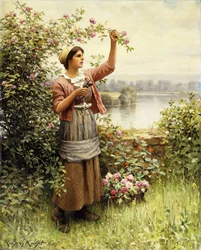 Couper des roses le long de la Seine