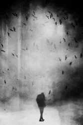 Lonely Walker - Ciel nocturne
