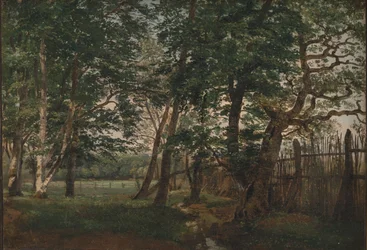 Le parc aux cerfs au nord de Copenhague