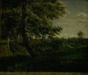 Forêt d