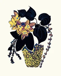 Plantes en pot chic