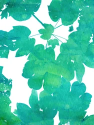 Feuilles d