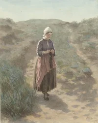 Dans les dunes à Zandvoort