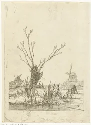 Paysage d