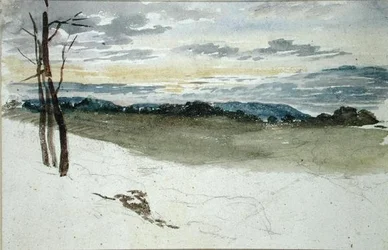 Paysage boisé au coucher du soleil