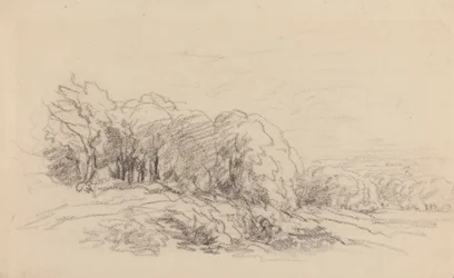 Paysage avec arbres