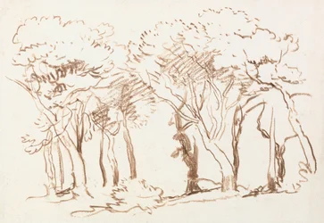 Étude des arbres
