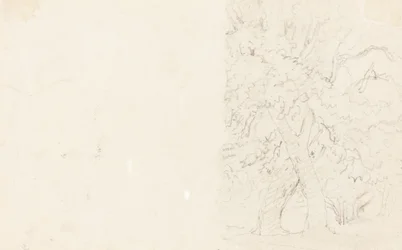 Arbres (verso)