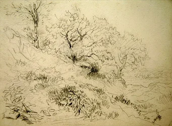 Paysage gallois