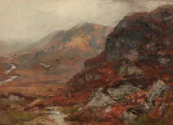 Collines des Highlands