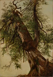 Étude d