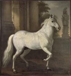 Le cheval favori de Charles XI, Brilliant