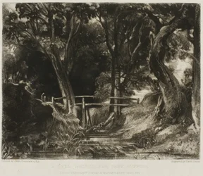 Un vallon, parc de Helmingham, Suffolk