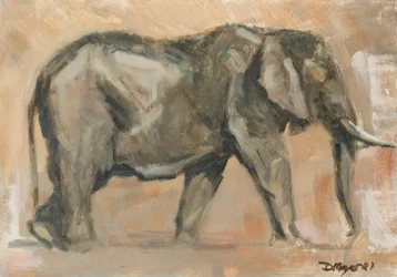 Éléphant mâle