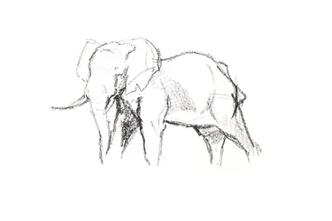 Éléphant mâle, 2021