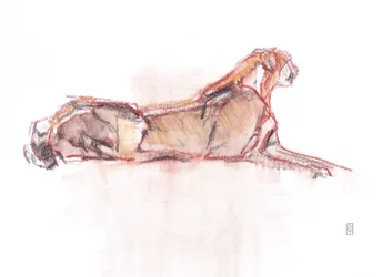Guépard en alerte, 2019