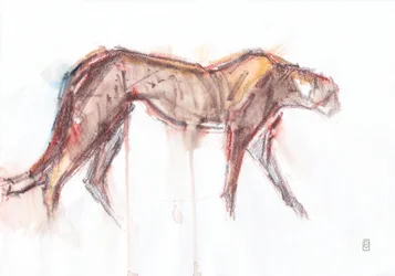 Chasse au guépard, 2019