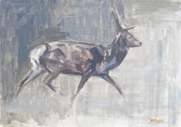 Cerf rouge courant, 2023