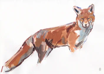 Renard roux, 2021