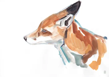 Portrait de renard roux, 2021