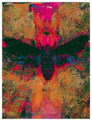 Collage de papillon de la mort, 2016