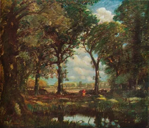 Une mare forestière
