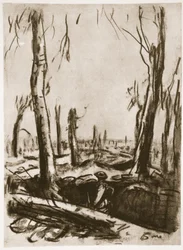 Tranchées en ruines dans le bois de Mametz, illustration de 
