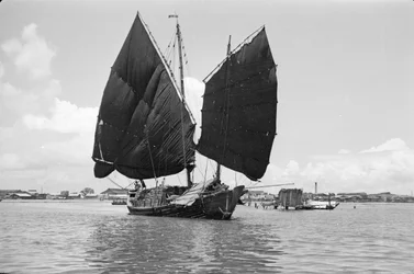 Jonque de port à tige de cloche sous voile à Singapour