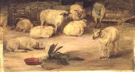 Dix Moutons dans un Enclos