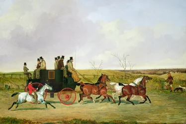 Cheval et Carrosse