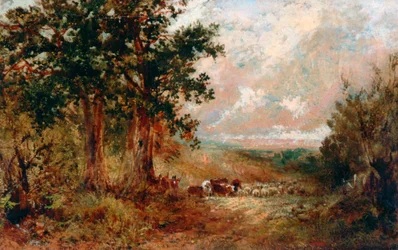 Un chemin du Warwickshire