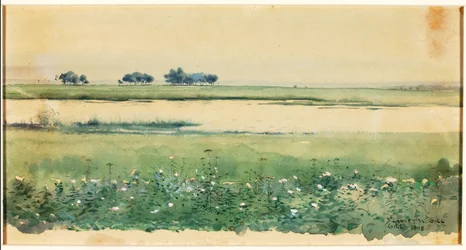 (Paysage avec marais)