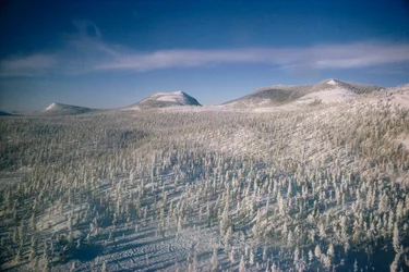 La Sibérie en hiver, paysage sur marais et forêts couvertes de neige