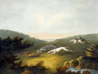 Coursing, planche 2, gravé par R.G. Reeve