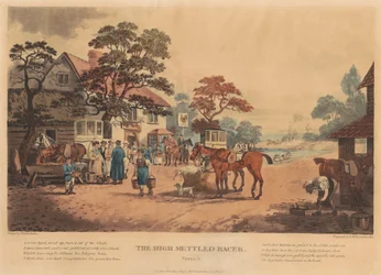 [Course] Ensemble de Quatre : Le Cheval de Course Hautement Métissé