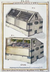 Boîtes en bois pour transporter des plantes rares sur des navires par Delahaye, de Florindie ou Histoire physico-économique des Végétaux de la Torride