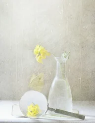 Fleurs jaunes de rêve