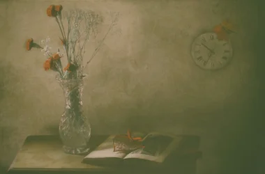 Fleurs fanées et temps qui passe