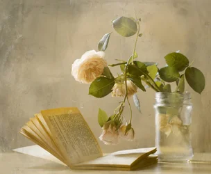 « Faded Roses » : un livre qui se dévoile