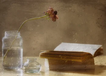 Fleur mélancolique et livre