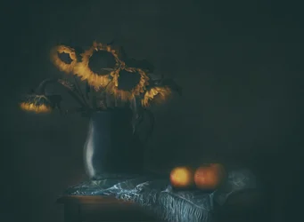 Tournesols et pommes mélancoliques