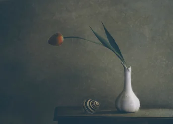 Nature morte aux tulipes mélancoliques