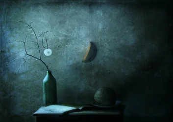 Nature morte au clair de lune