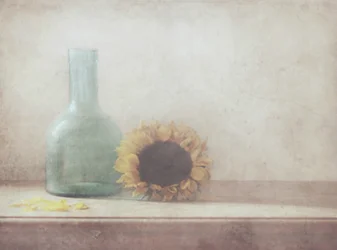 Nature morte vintage au tournesol