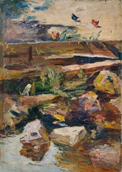 Rive de ruisseau avec poules