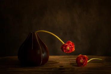 Nature morte aux renoncules de Moody